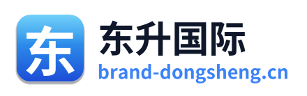 东升国际